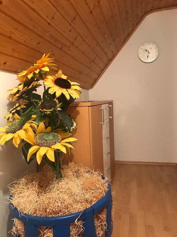 Kogelhuber Appartement Possnitz Buitenkant foto